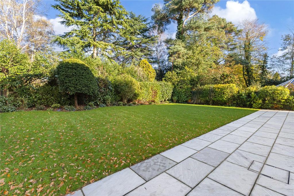Patio Area