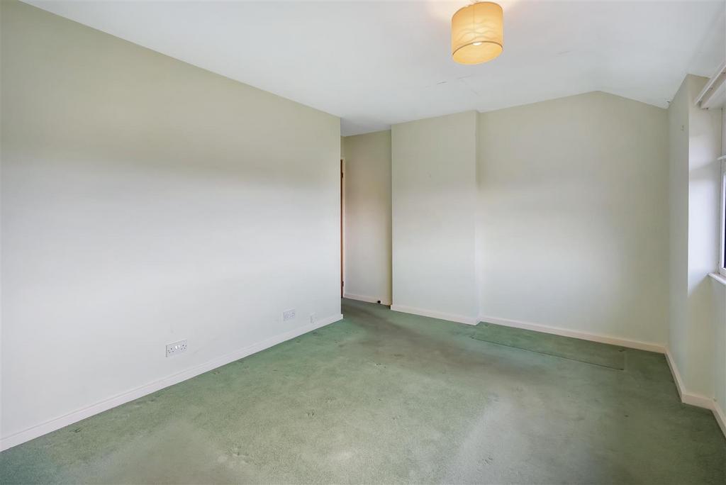 DSC08537.jpg
