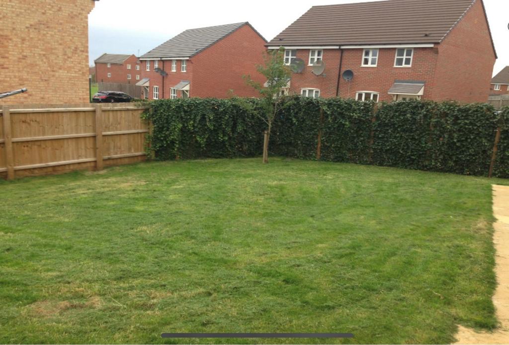 Garden.jpg