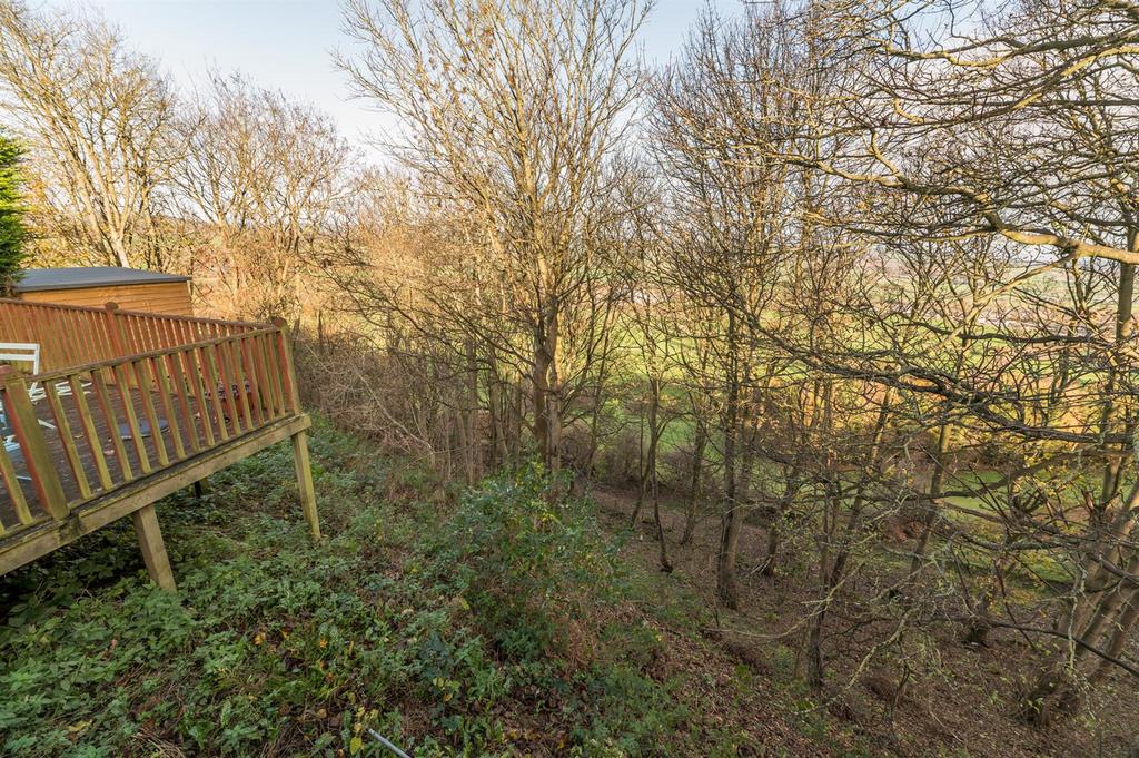 Outlook from the garden room