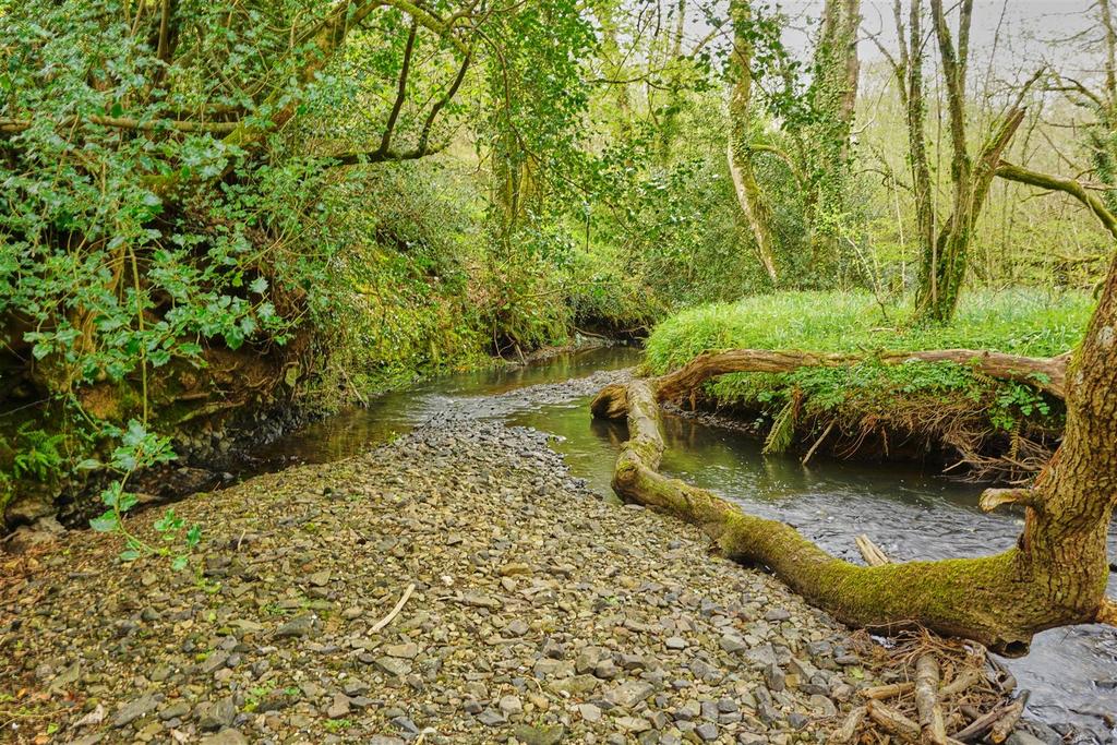 Stream
