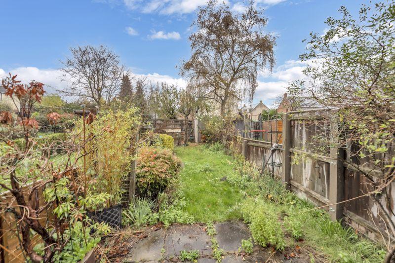 Back garden