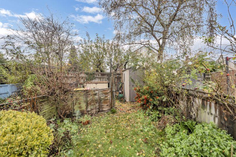 Back garden