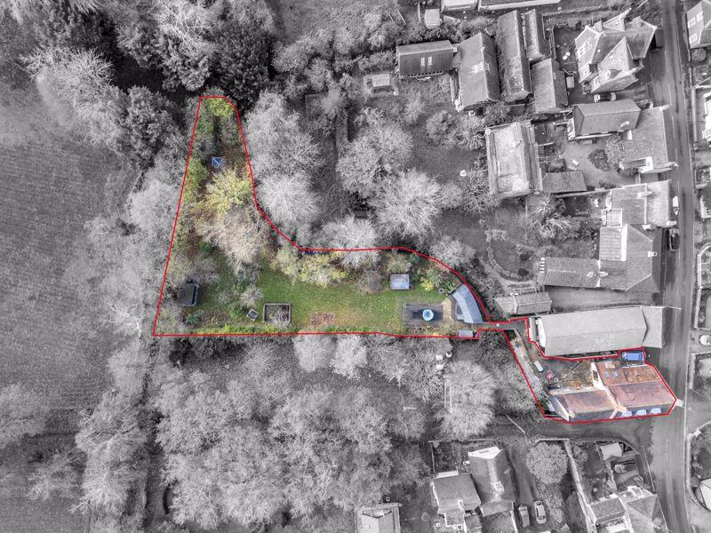 Plot View