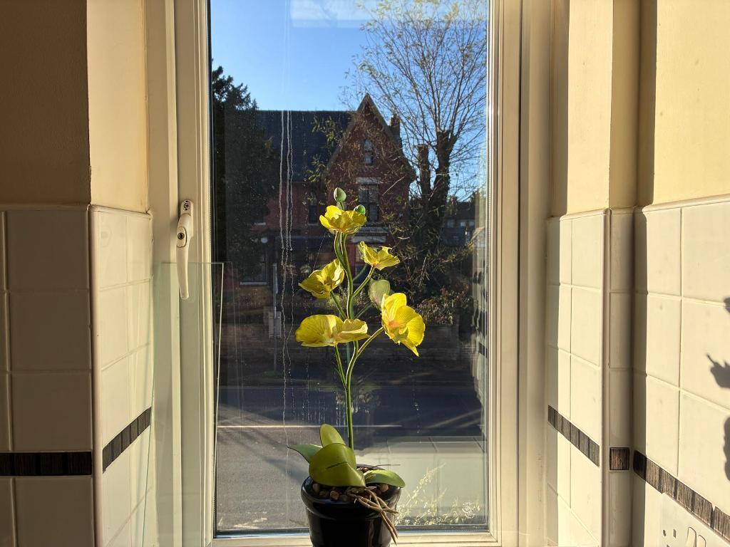 Kitchen view