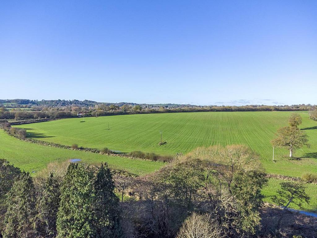 DJI 0821.jpg