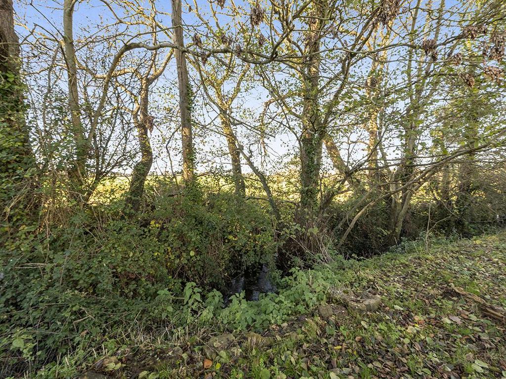 DSC 5345.jpg