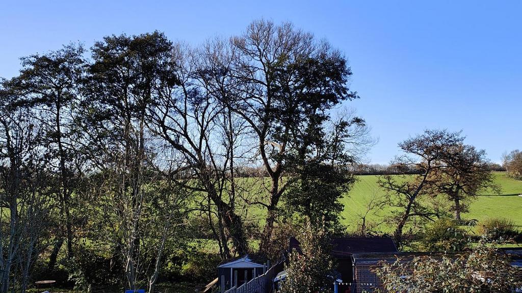IMG20251120134320.jpg