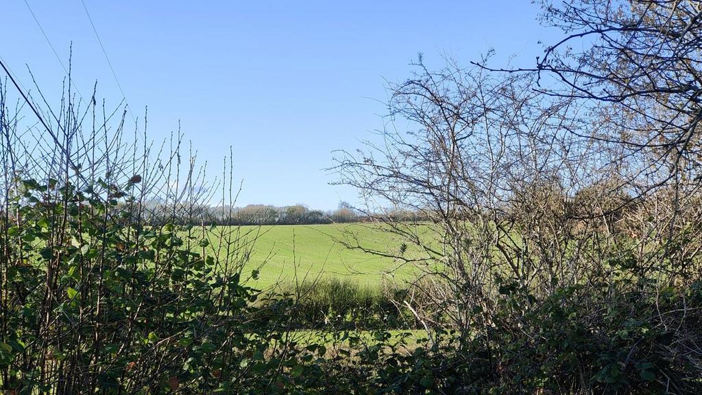 IMG20251120135558.jpg