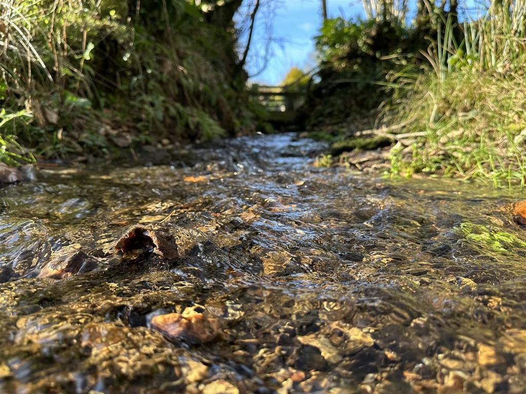 Stream