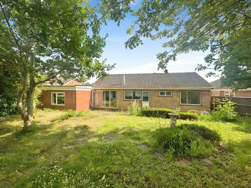 External Rear