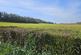 Additional image 2 of Alvington Road, Newport, Isle of Wight