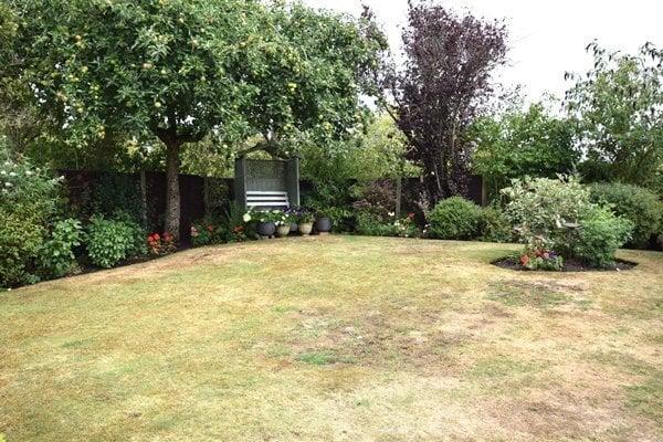 Rear garden