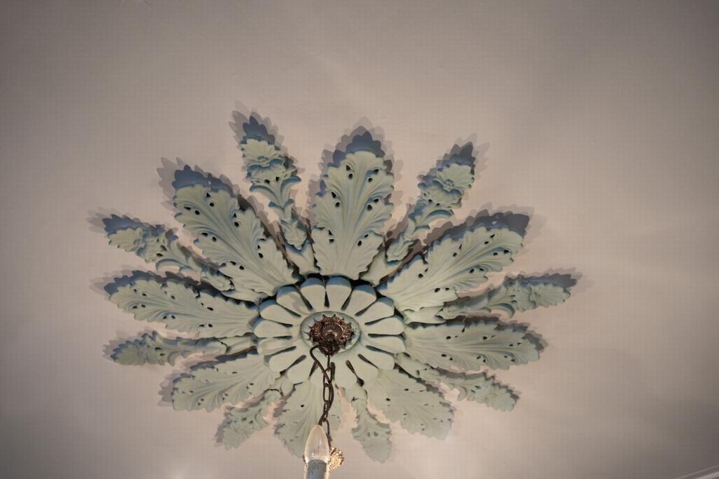 Celing rose