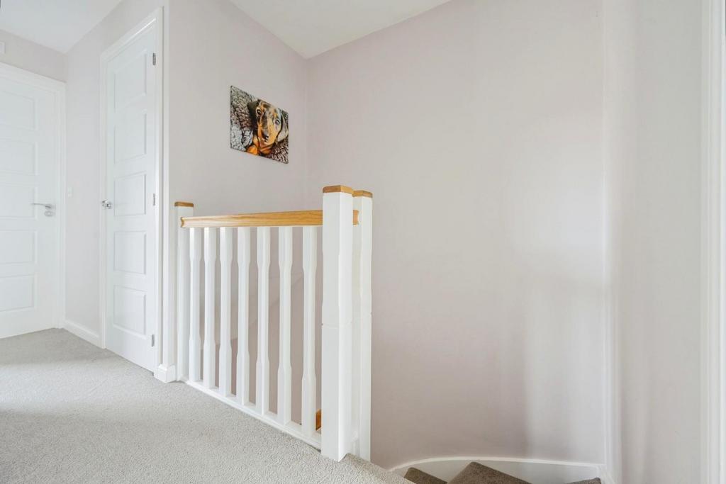 5buckmasterway20of22.jpg
