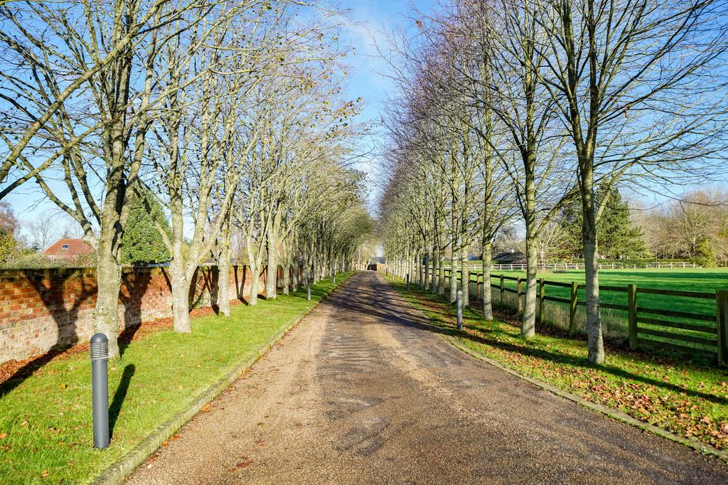 4-The-Walled-Gardens-1001