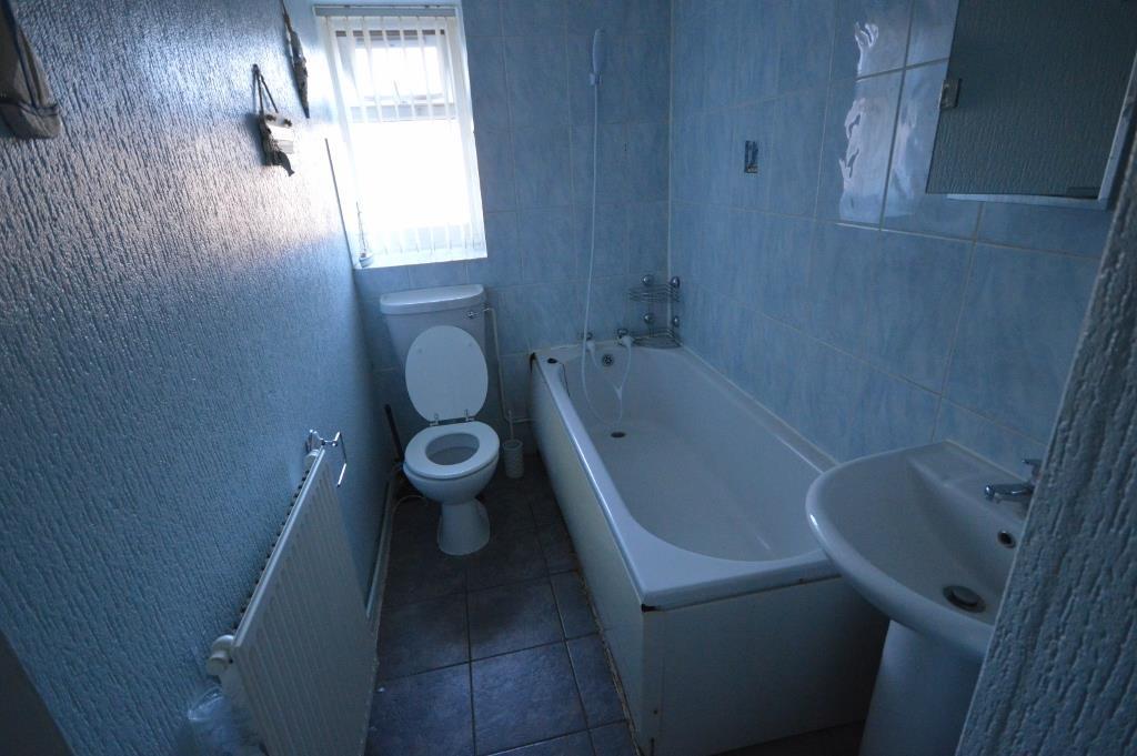 DSC 0310 (1024x681).jpg