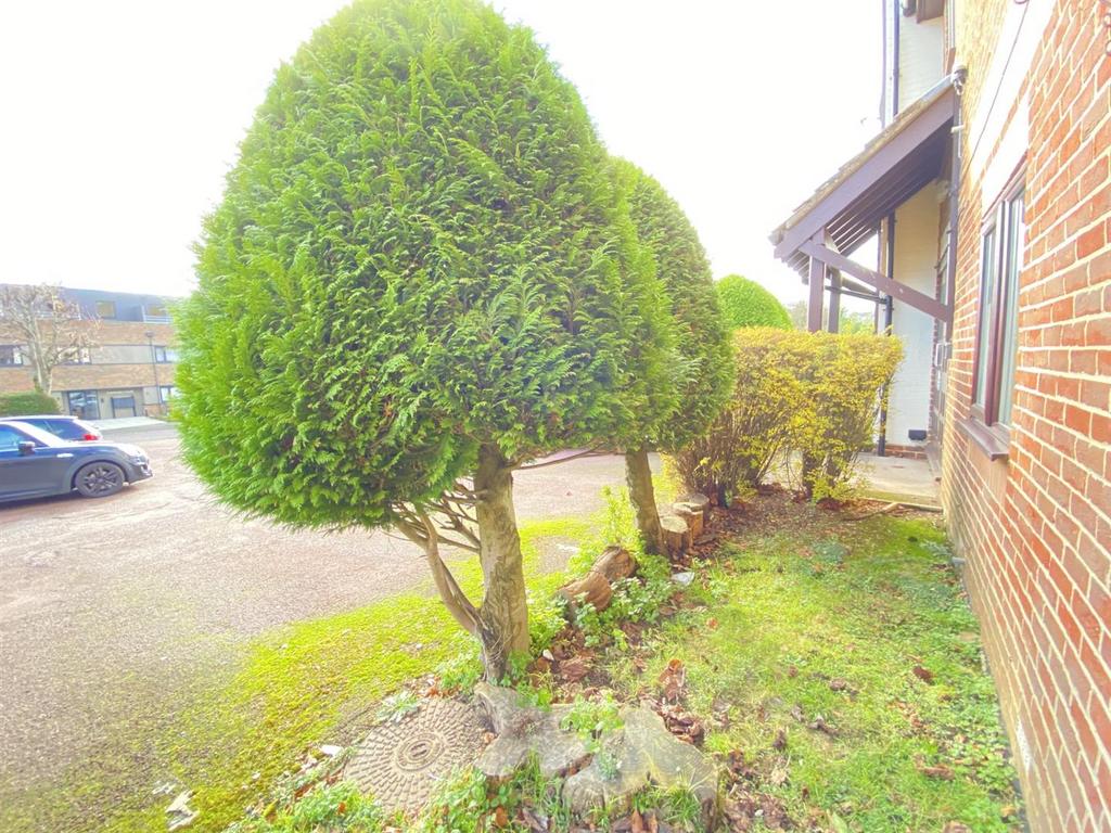 Outside