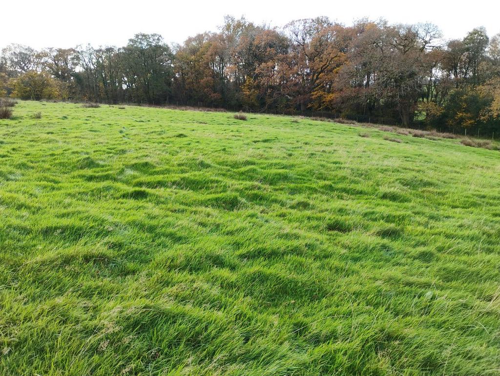 LOT 2 Paddock