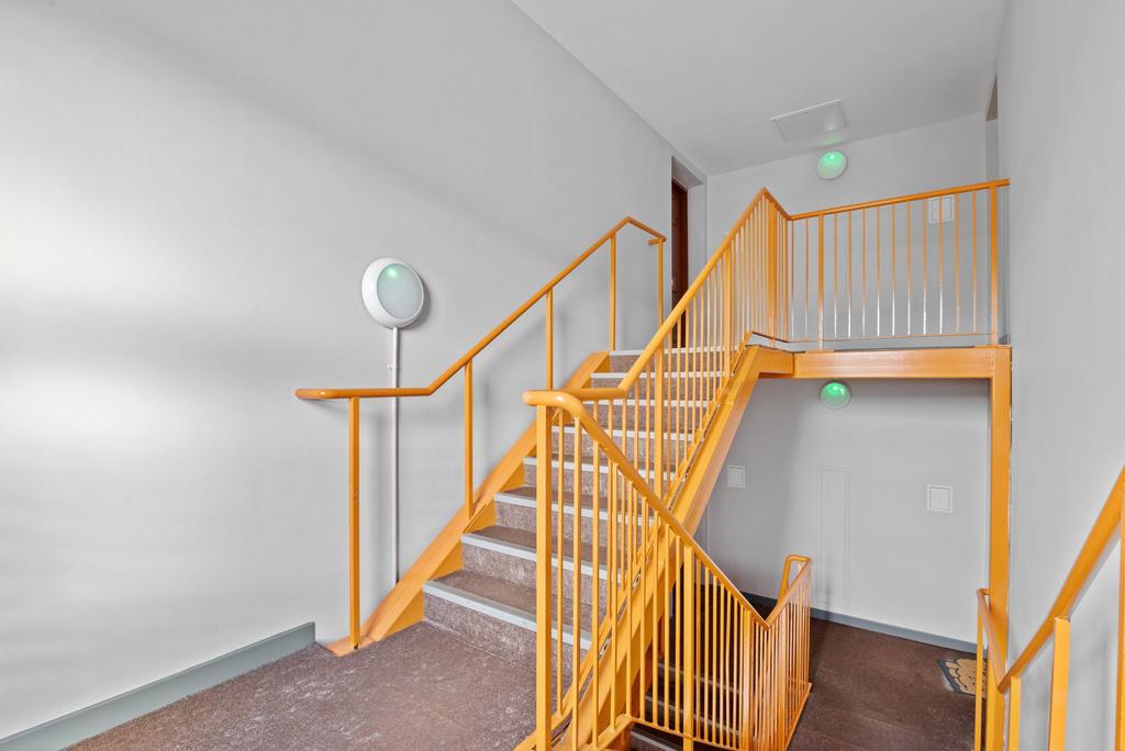 Stairs Inside Flat