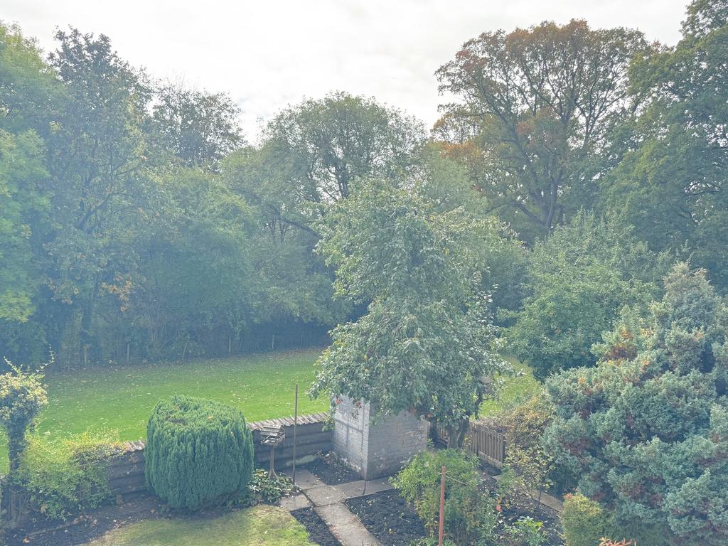Rear rural view