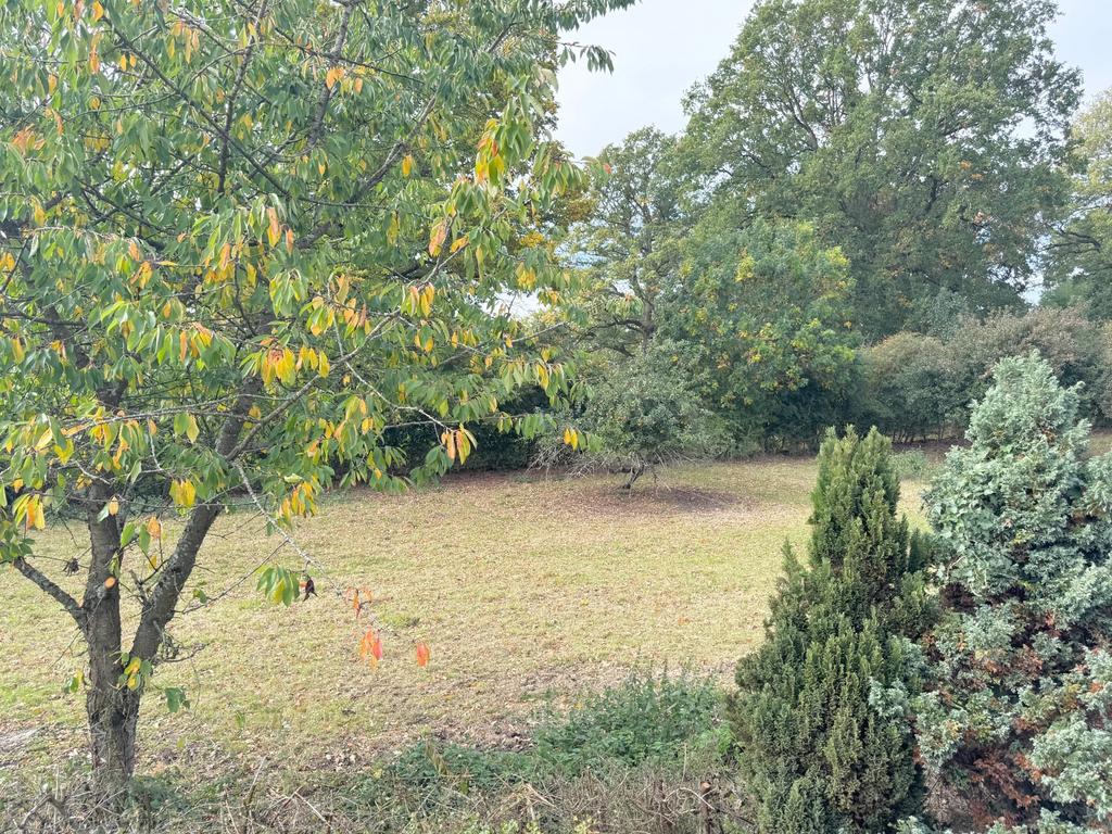 Rural view to side