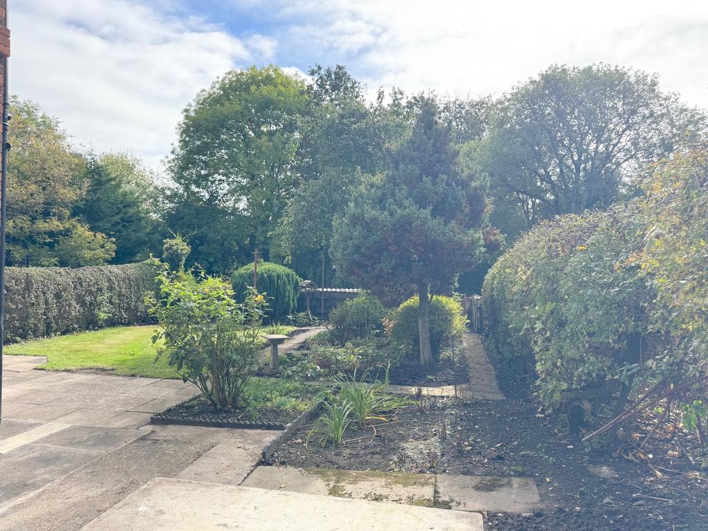 Rear garden
