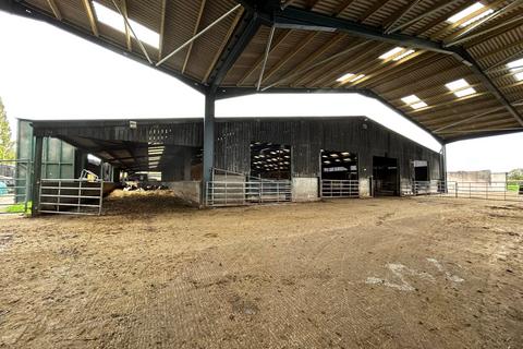 undefined, Buckland Newton, Dorchester, Dorset, DT2