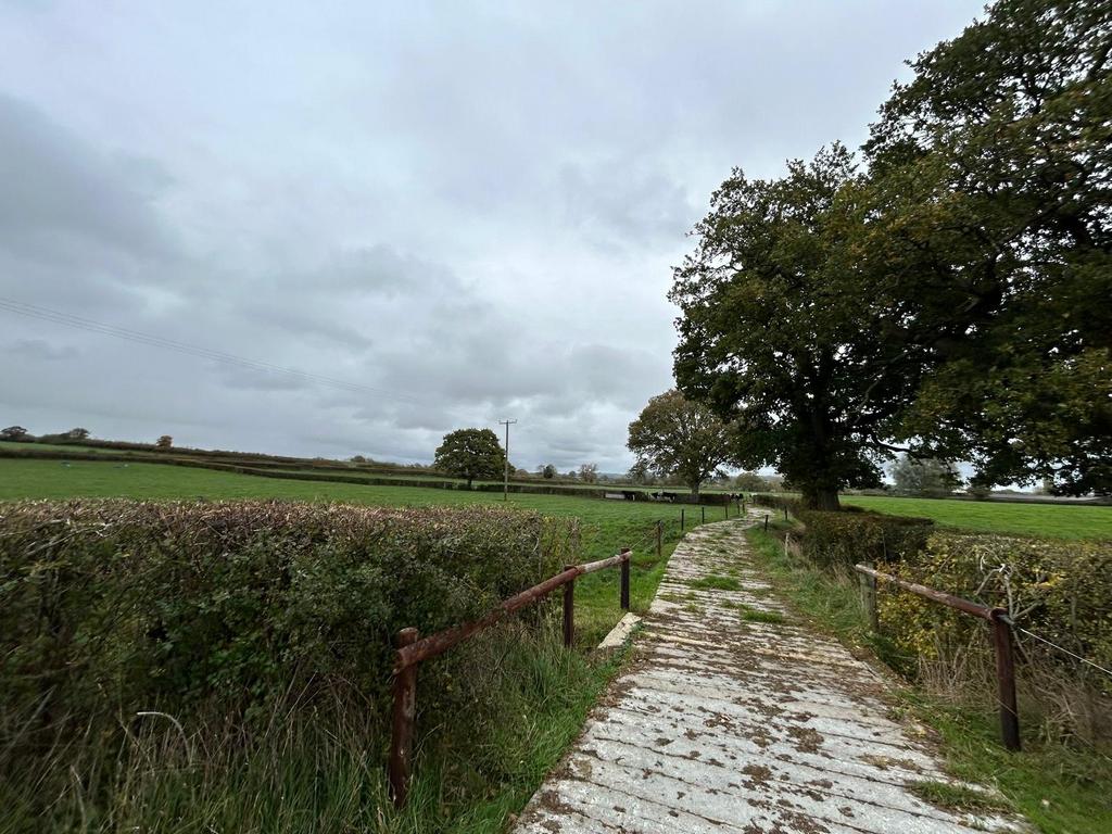 Picture No. 10