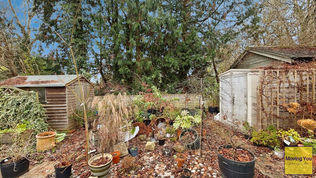 Allotment patch
