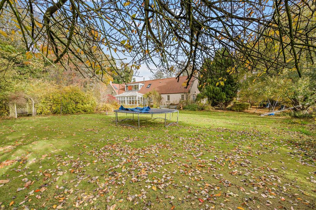 Spacious Garden