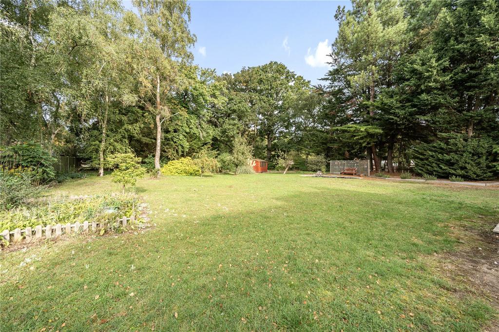 Rear Gardens