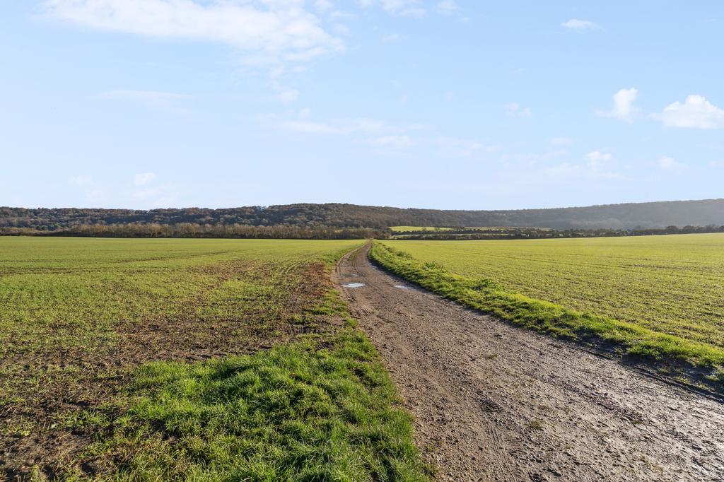 The Ridgeway