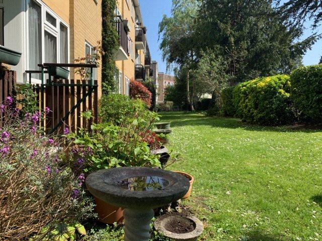 Communal Garden