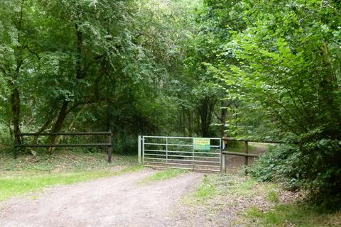 undefined, Oakengrove Wood, nr Henley-on-Thames, Oxfordshire RG9