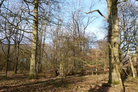 undefined, Oakengrove Wood, nr Henley-on-Thames, Oxfordshire RG9