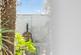 Additional image 14 of Southwell Street, Portland