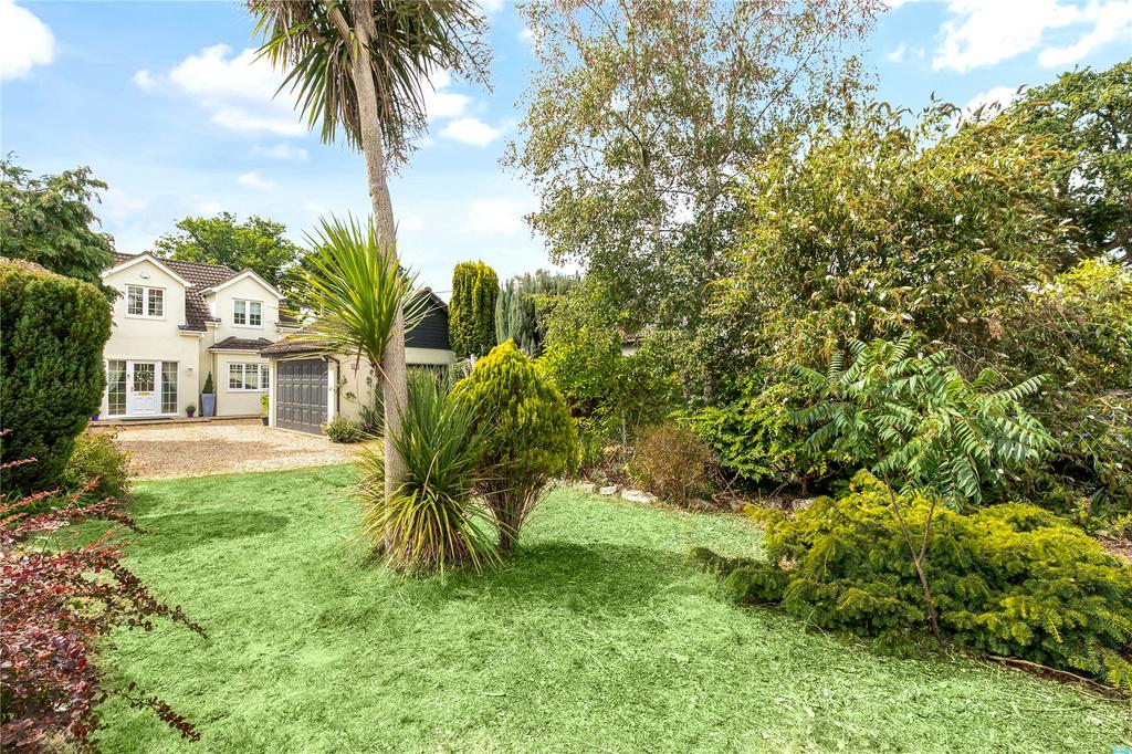 Front View