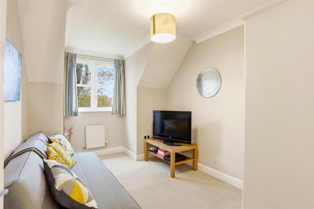 1577763541 - Rye Field -38.jpg