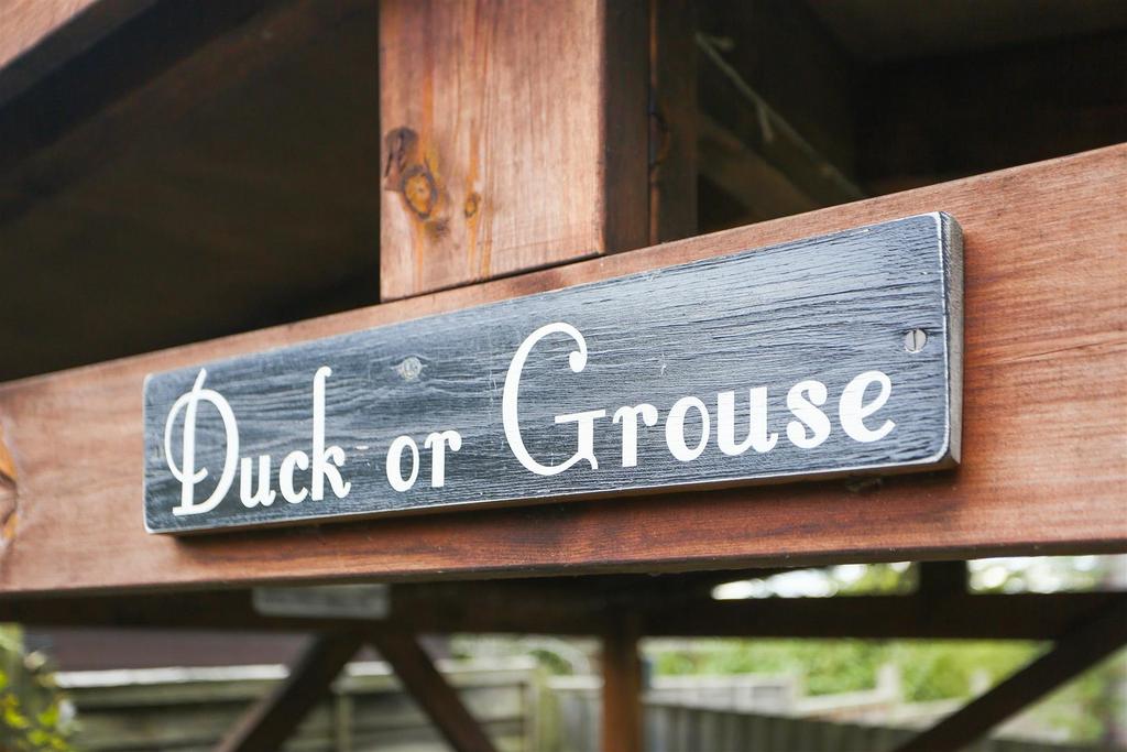 1577763541 - Rye Field -12.jpg