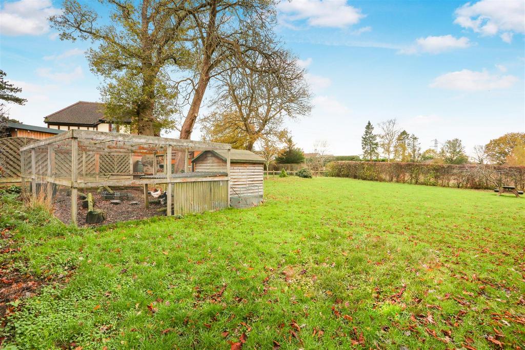 1577763541 - Rye Field -7.jpg