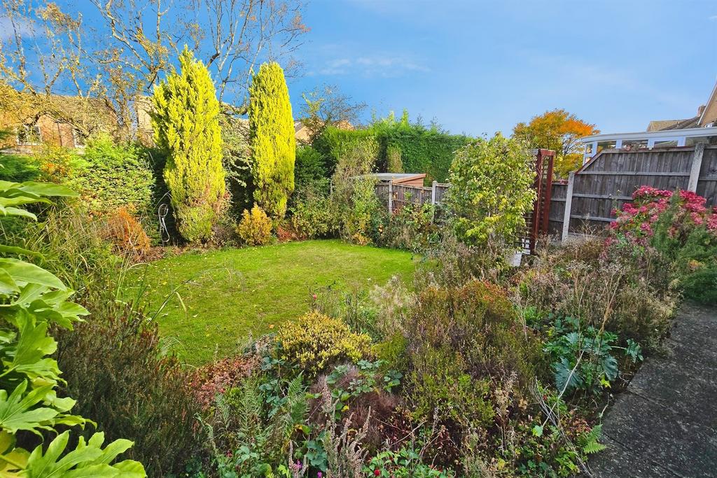 Back Garden