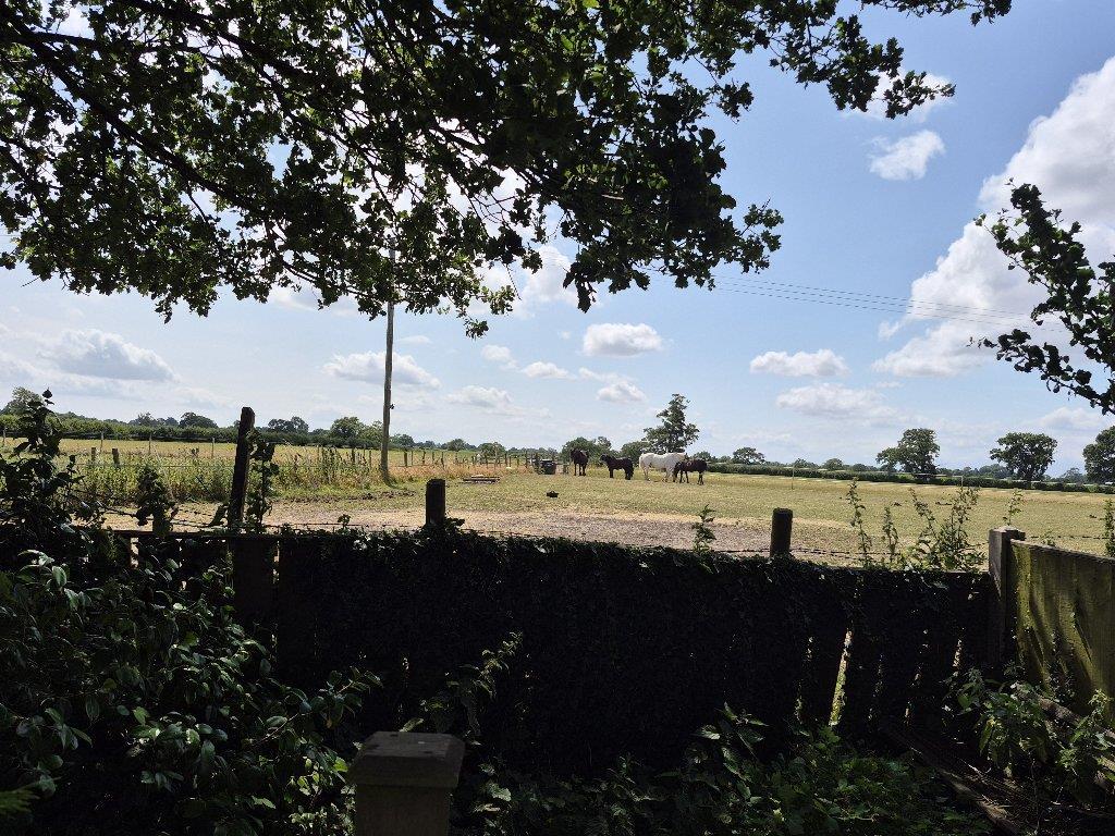 Image4389418936744098504.jpg