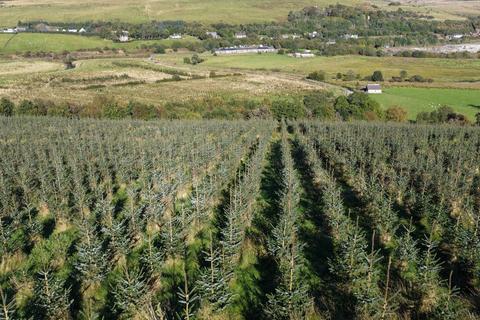 undefined, Low Keirs, Patna KA6