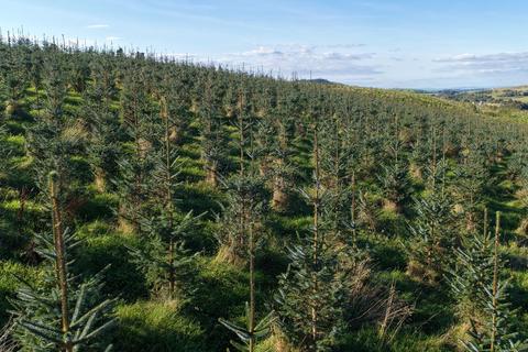 undefined, Low Keirs, Patna KA6