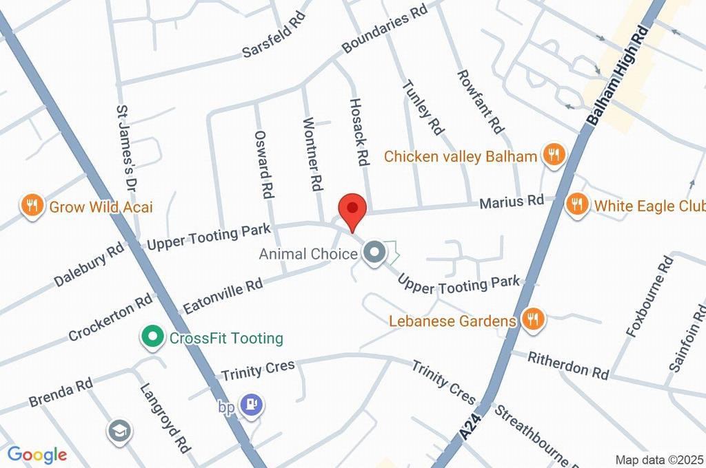 Google Maps Image