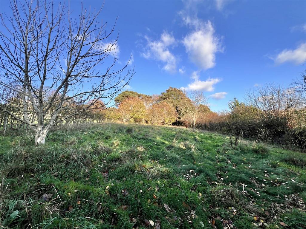 Gardens 1 Nunnery Lane.jpg