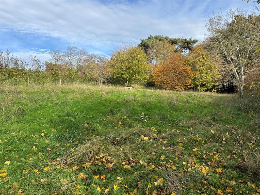 Bright gardens Nunnery Lane.jpg