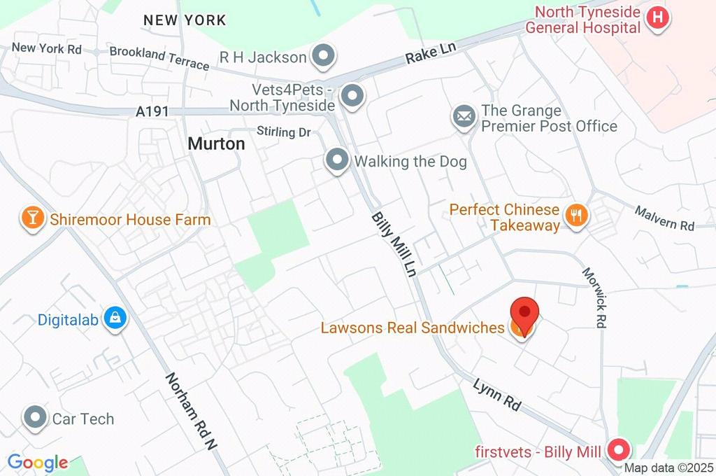 Google Maps Image