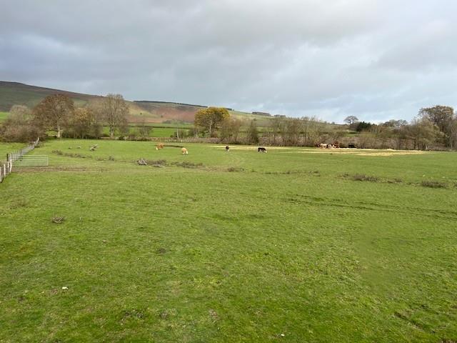 External view